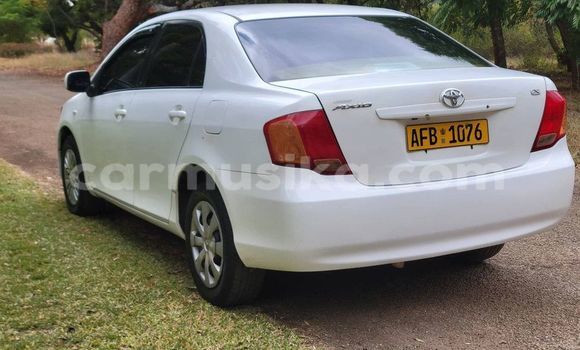 Acheter Occasion Voiture Toyota Axio Blanc à Belvédère, Harare Acheter Occasion Voiture Toyota Axio Blanc à Belvédère, Harare