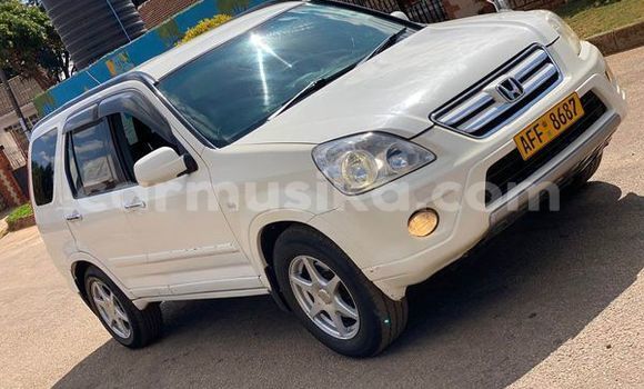 Nunua Ilio tumika Honda Accord Nyingine Gari ndani ya Avondale nchini Harare