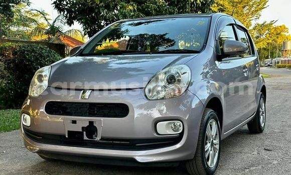 Tenga Tsaru Toyota Passo Zvimwe Mota in Harare in Harare Tenga Tsaru Toyota Passo Zvimwe Mota in Harare in Harare