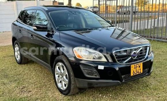 Tenga Tsaru Volkswagen Vento Zvimwe Mota in Harare in Harare