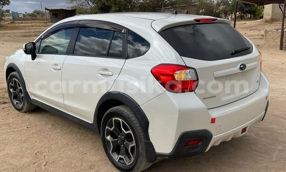 Tenga Tsaru Subaru XV Chena Mota in Beitbridge in Matabeleland South