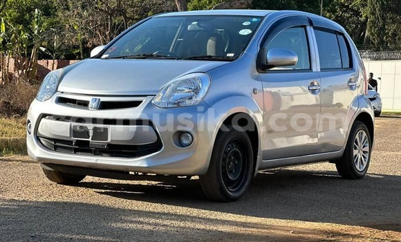 Buy Used Toyota Passo Other Car in Avondale in Harare Buy Used Toyota Passo Other Car in Avondale in Harare