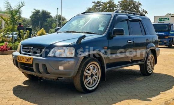 Tenga Tsaru Honda Accord Zvimwe Mota in Belvedere in Harare