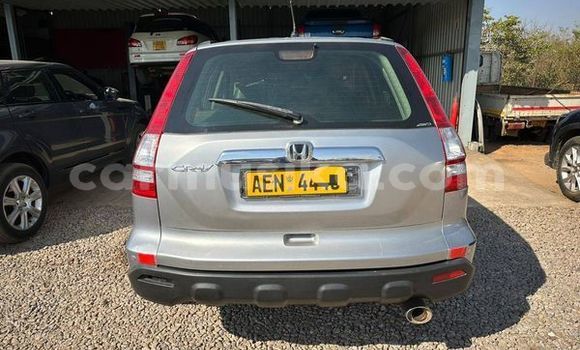 Buy Used Honda CR–V Other Car in Kadoma in Mashonaland West