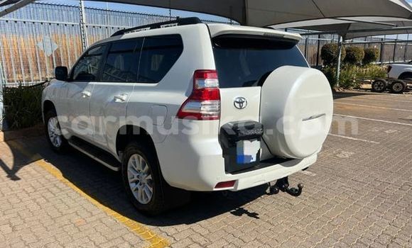 Nunua Ilio tumika Toyota Land Cruiser Nyingine Gari ndani ya Avondale nchini Harare