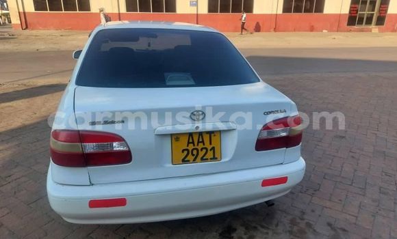 Nunua Ilio tumika Toyota Corolla Nyingine Gari ndani ya Kadoma nchini Mashonaland West