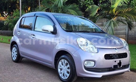 Tenga Tsaru Toyota Passo Zvimwe Mota in Bindura in Mashonaland yePakati