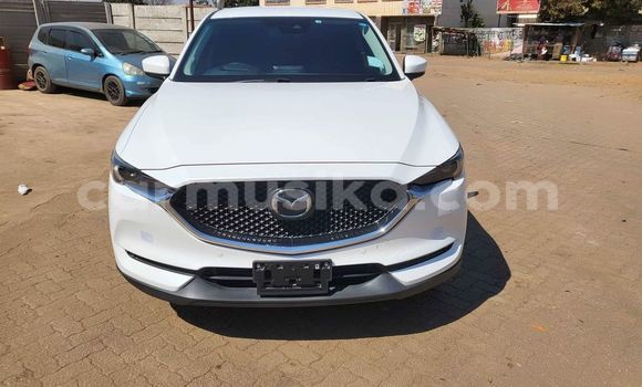 Tenga Tsaru Mazda 2 Chena Mota in Alexandra Park in Harare Tenga Tsaru Mazda 2 Chena Mota in Alexandra Park in Harare