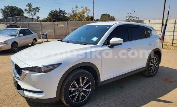 Tenga Tsaru Mazda 2 Chena Mota in Alexandra Park in Harare Tenga Tsaru Mazda 2 Chena Mota in Alexandra Park in Harare