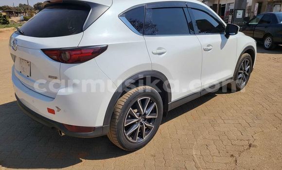 Tenga Tsaru Mazda 2 Chena Mota in Alexandra Park in Harare Tenga Tsaru Mazda 2 Chena Mota in Alexandra Park in Harare