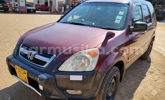 Buy Used Honda CR–V Other Car in Alexandra Park in Harare