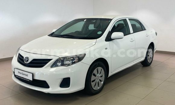 Buy Used Toyota Corolla White Car in Beitbridge in Matabeleland South