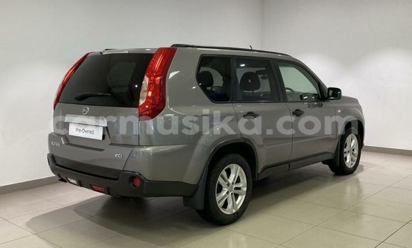 Acheter Occasion Voiture Nissan X–Trail Gris à Belvédère, Harare Acheter Occasion Voiture Nissan X–Trail Gris à Belvédère, Harare