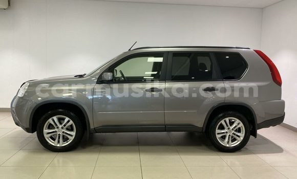 Acheter Occasion Voiture Nissan X–Trail Gris à Belvédère, Harare Acheter Occasion Voiture Nissan X–Trail Gris à Belvédère, Harare