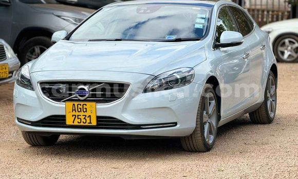 Tenga Tsaru Volkswagen Vento Zvimwe Mota in Harare in Harare