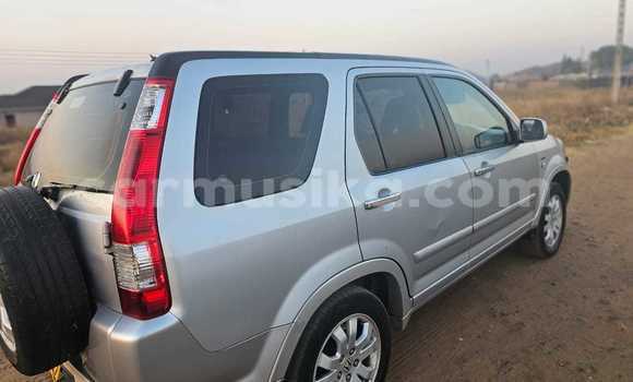 Buy Used Honda CR–V Other Car in Beitbridge in Matabeleland South