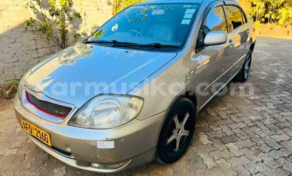 Acheter Occasion Voiture Toyota Corolla Autre à Bulawayo, Bulawayo