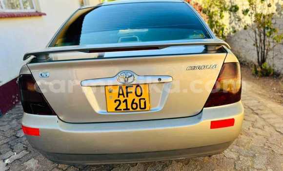 Acheter Occasion Voiture Toyota Corolla Autre à Bulawayo, Bulawayo Acheter Occasion Voiture Toyota Corolla Autre à Bulawayo, Bulawayo