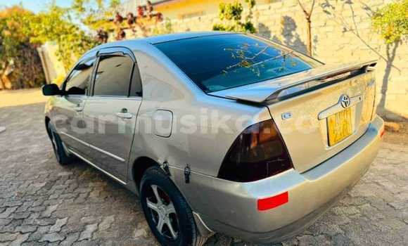 Acheter Occasion Voiture Toyota Corolla Autre à Bulawayo, Bulawayo Acheter Occasion Voiture Toyota Corolla Autre à Bulawayo, Bulawayo