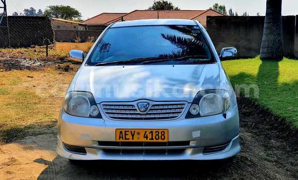 Acheter Occasion Voiture Toyota Allex Autre à Alexandra Park, Harare Acheter Occasion Voiture Toyota Allex Autre à Alexandra Park, Harare
