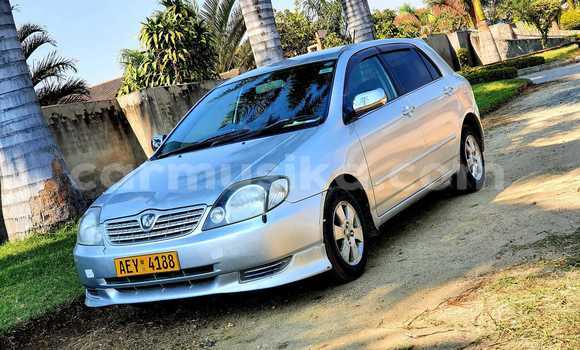 Acheter Occasion Voiture Toyota Allex Autre à Alexandra Park, Harare Acheter Occasion Voiture Toyota Allex Autre à Alexandra Park, Harare