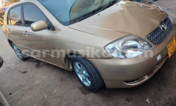 Acheter Occasion Voiture Toyota Runx Autre à Bulawayo, Bulawayo Acheter Occasion Voiture Toyota Runx Autre à Bulawayo, Bulawayo