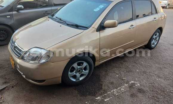 Acheter Occasion Voiture Toyota Runx Autre à Bulawayo, Bulawayo Acheter Occasion Voiture Toyota Runx Autre à Bulawayo, Bulawayo