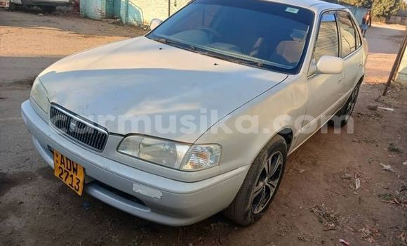 Nunua Ilio tumika Toyota Corolla Nyeupe Gari ndani ya Belvedere nchini Harare