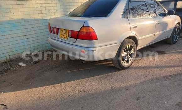 Acheter Occasion Voiture Toyota Corolla Blanc à Belvédère, Harare Acheter Occasion Voiture Toyota Corolla Blanc à Belvédère, Harare