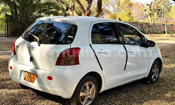 Acheter Occasion Voiture Toyota Vitz Blanc à Avondale, Harare Acheter Occasion Voiture Toyota Vitz Blanc à Avondale, Harare