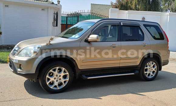 Tenga Tsaru Honda CR–V Zvimwe Mota in Borrowdale in Harare Tenga Tsaru Honda CR–V Zvimwe Mota in Borrowdale in Harare