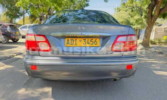 Tenga Tsaru Nissan Sylphy Zvimwe Mota in Bulawayo in Bulawayo Tenga Tsaru Nissan Sylphy Zvimwe Mota in Bulawayo in Bulawayo