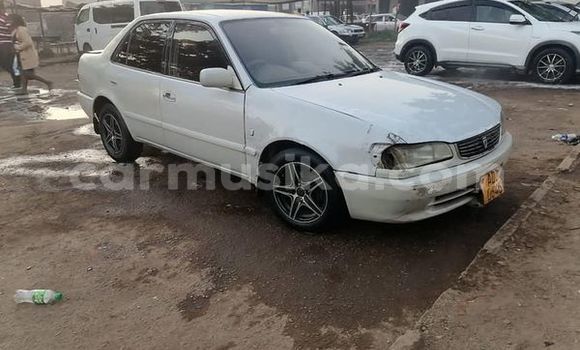 Acheter Occasion Voiture Toyota Corolla Autre à Harare, Harare