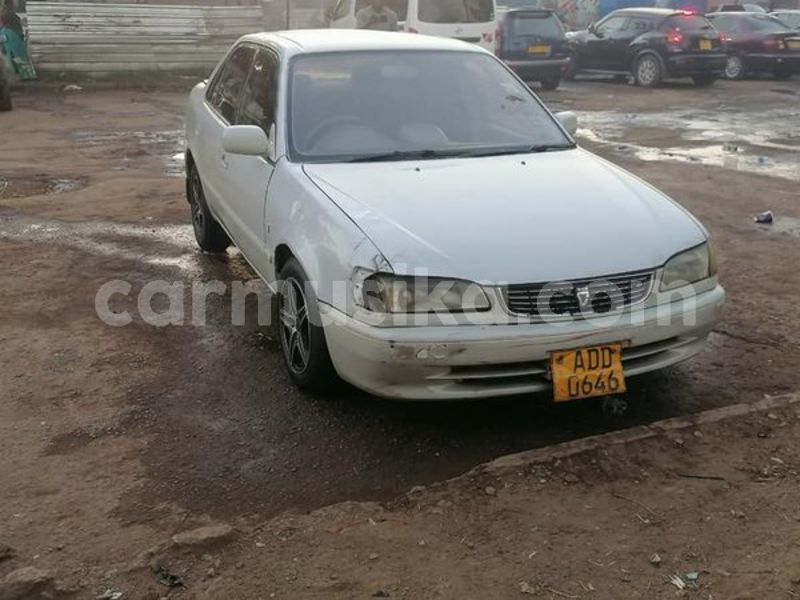 Big with watermark toyota corolla harare harare 35882