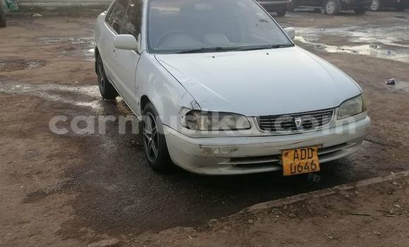 Buy Used Toyota Corolla Other Car in Harare in Harare Buy Used Toyota Corolla Other Car in Harare in Harare
