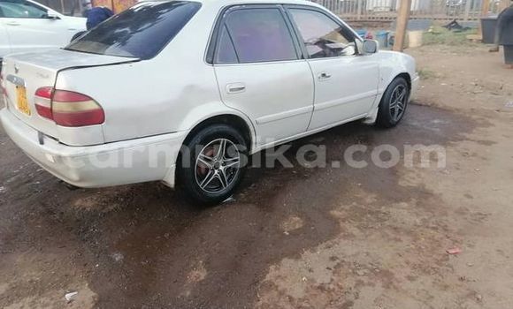Buy Used Toyota Corolla Other Car in Harare in Harare Buy Used Toyota Corolla Other Car in Harare in Harare