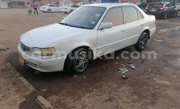 Buy Used Toyota Corolla Other Car in Harare in Harare Buy Used Toyota Corolla Other Car in Harare in Harare