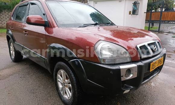 Buy Used Hyundai Tucson Other Car in Belvedere in Harare
