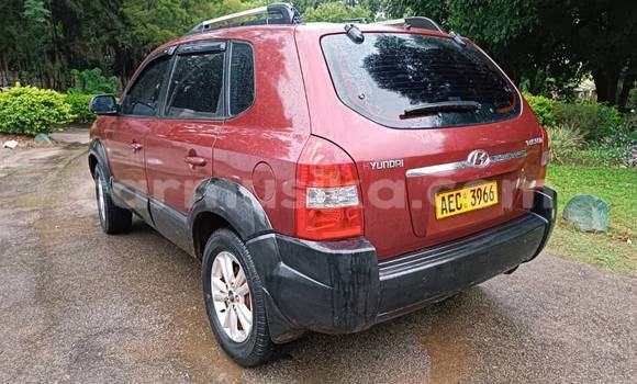 Tenga Tsaru Hyundai Tucson Zvimwe Mota in Belvedere in Harare Tenga Tsaru Hyundai Tucson Zvimwe Mota in Belvedere in Harare