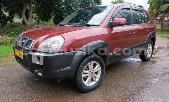 Tenga Tsaru Hyundai Tucson Zvimwe Mota in Belvedere in Harare Tenga Tsaru Hyundai Tucson Zvimwe Mota in Belvedere in Harare
