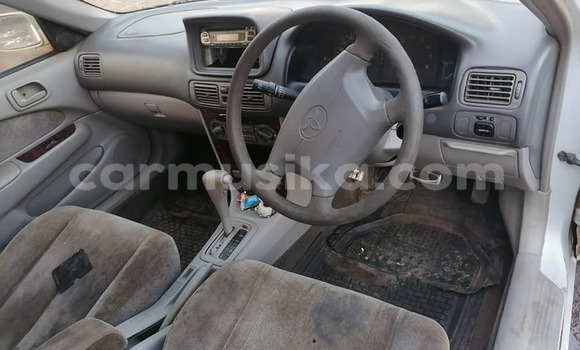 Buy Used Toyota Corolla Other Car in Harare in Harare Buy Used Toyota Corolla Other Car in Harare in Harare