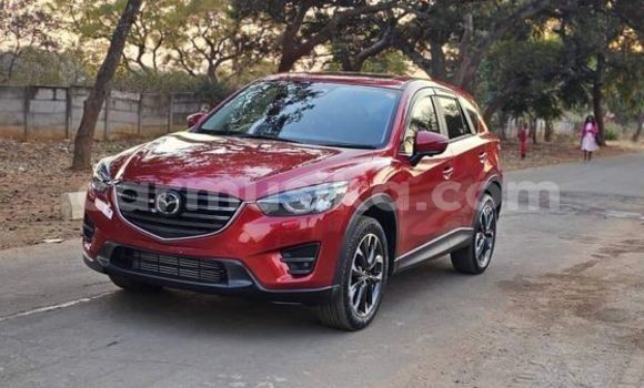 Buy Used Mazda Demio Red Car in Harare in Harare Buy Used Mazda Demio Red Car in Harare in Harare