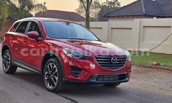 Buy Used Mazda Demio Red Car in Harare in Harare Buy Used Mazda Demio Red Car in Harare in Harare