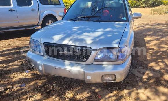 Nunua Ilio tumika Subaru Forester Nyingine Gari ndani ya Belvedere nchini Harare