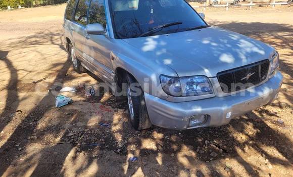 Nunua Ilio tumika Subaru Forester Nyingine Gari ndani ya Belvedere nchini Harare Nunua Ilio tumika Subaru Forester Nyingine Gari ndani ya Belvedere nchini Harare