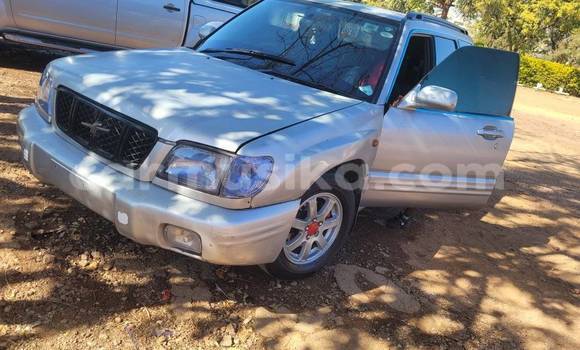 Nunua Ilio tumika Subaru Forester Nyingine Gari ndani ya Belvedere nchini Harare Nunua Ilio tumika Subaru Forester Nyingine Gari ndani ya Belvedere nchini Harare