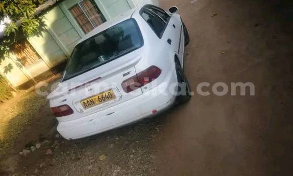 Nunua Ilio tumika Honda Ballade Nyeupe Gari ndani ya Beitbridge nchini Matabeleland Kusini Nunua Ilio tumika Honda Ballade Nyeupe Gari ndani ya Beitbridge nchini Matabeleland Kusini