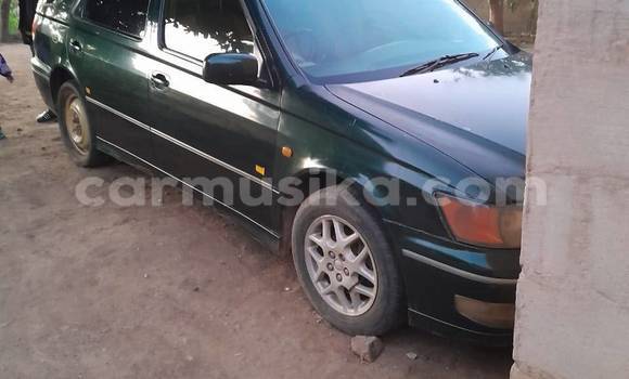 Tenga Tsaru Toyota Vista Nhema Mota in Borrowdale in Harare