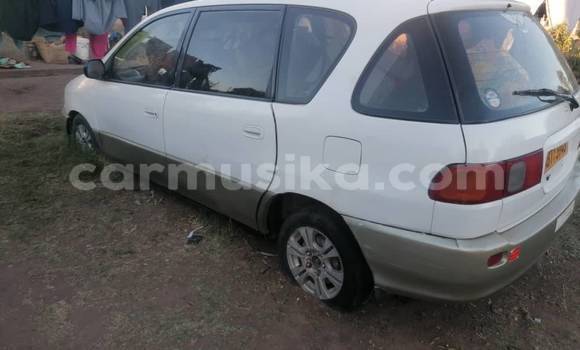 Buy Used Toyota Ipsum White Car in Belvedere in Harare