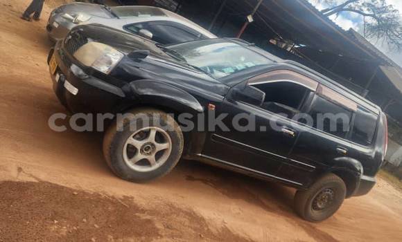 Buy Used Nissan X–Trail Black Car in Belvedere in Harare